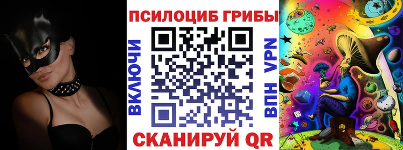 Галлюциногенные грибы Psilocybe  Купить где  Славск 