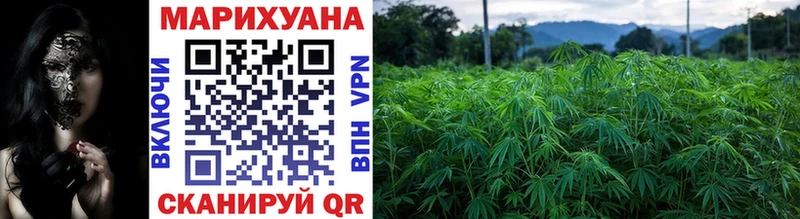 Купить где  Славск  Бошки марихуана SATIVA & INDICA 